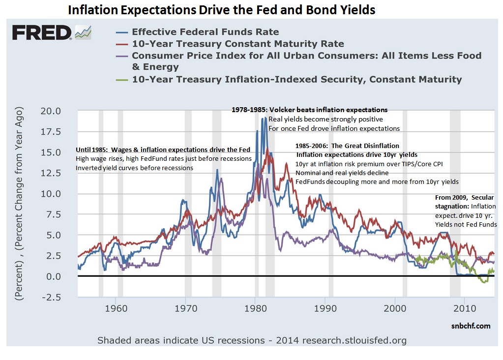 What Drives Government Bond Yields?