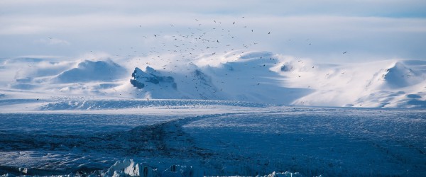 Al Gore und das dreiste Märchen von der CO2-Katastrophe