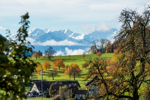Three Swiss Farms Close a Day