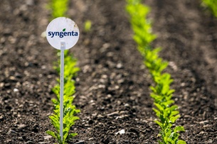 Syngenta deal will ‘drive modernisation’ of Chinese farming