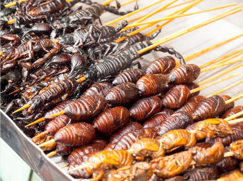 Insects now on Swiss menus