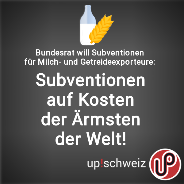 Neue Milch-Subventionen: up!schweiz verurteilt Protektionismus