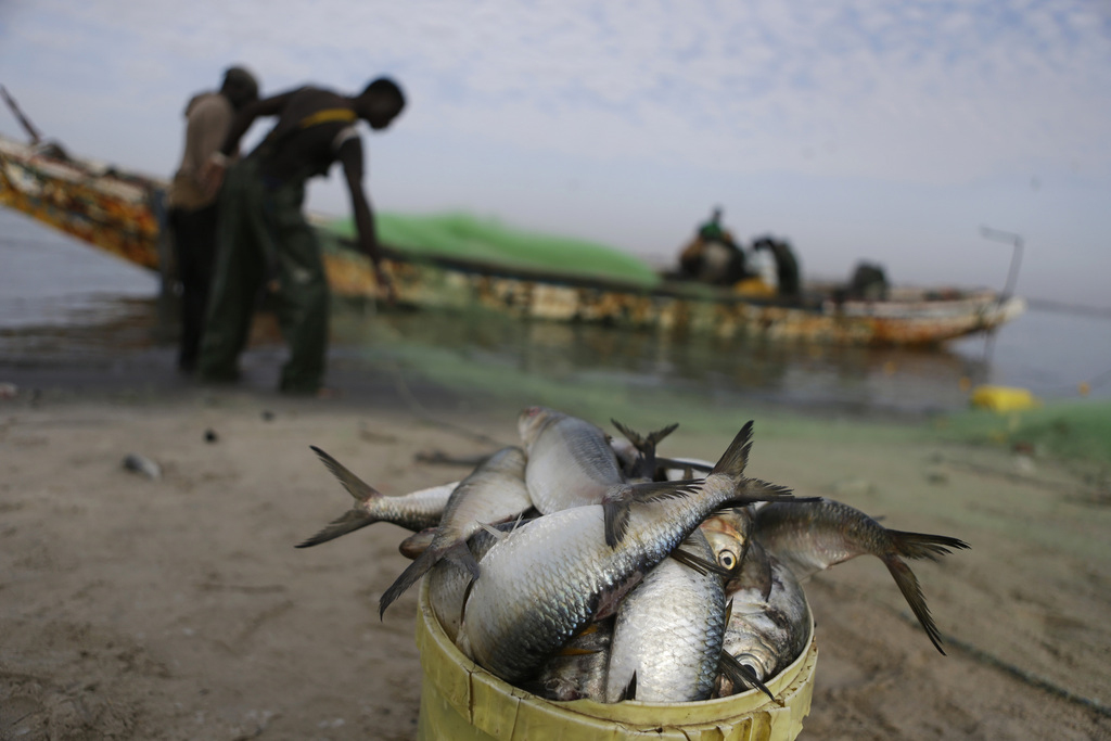 Wenn europäische Gelder afrikanische Fischer ruinieren