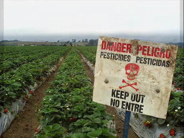Agriculture: Comment « le prix des pommes subventionne celui du Nutella ». BASTAMAG.  Projet de loi. F Ruffin