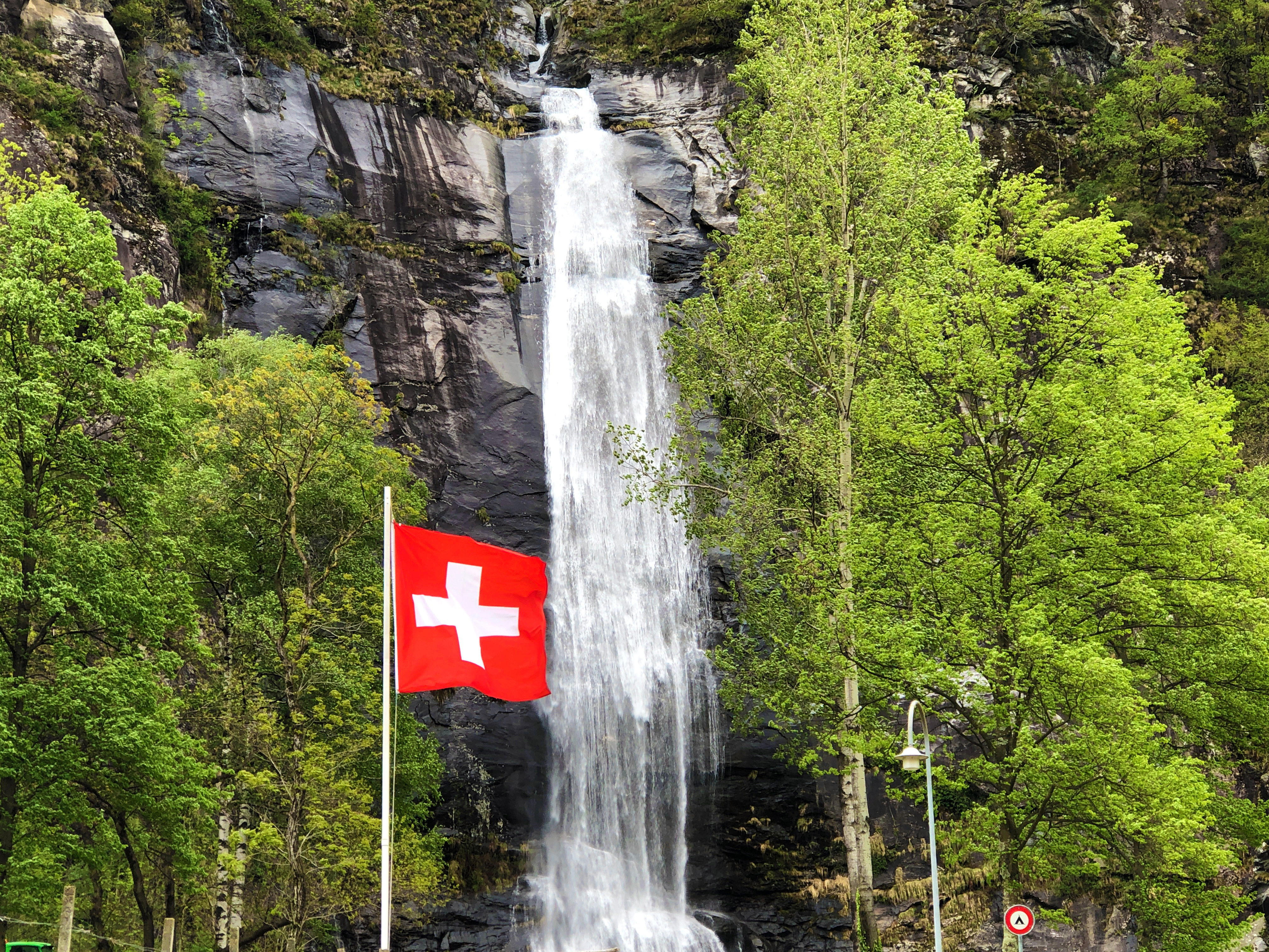 Asset Management Schweiz: Chancen in nachhaltigen Anlagen