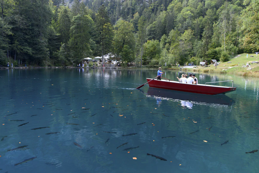 Toxins found in popular Swiss tourist spot