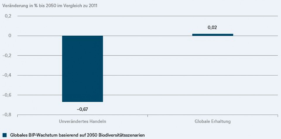 Gefährdung der Biodiversität zwingt Finanzsektor zum Handeln