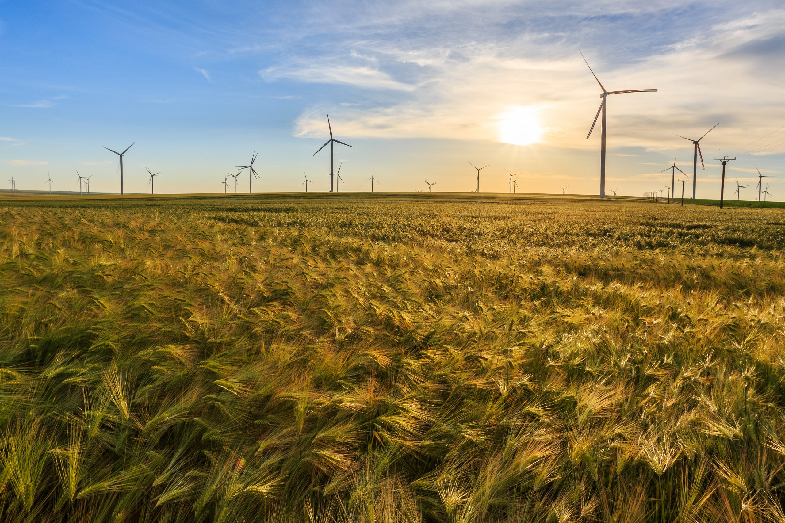 Nachhaltige Anlagen: Wo die ESG-Umsetzung herausfordert