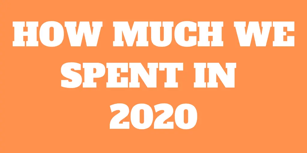How Much We Spent in 2020 – Full Expense Report