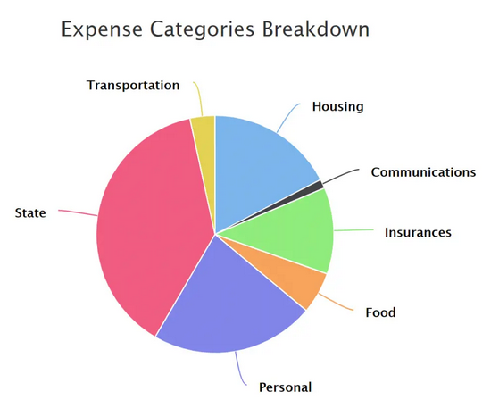 How Much We Spent in 2020 – Full Expense Report