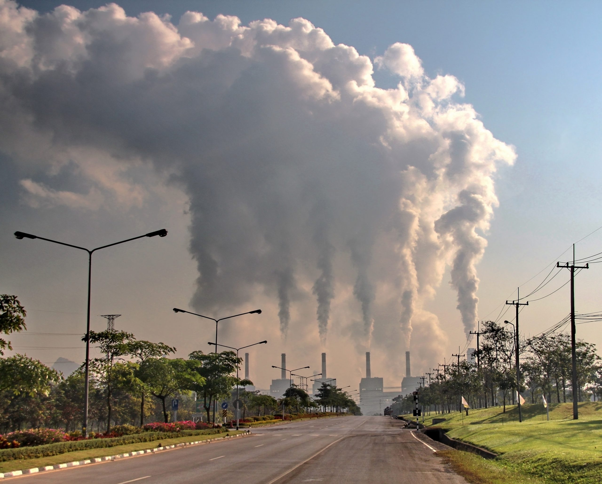 Anleger schichten zugunsten CO2-armer Wirtschaft um