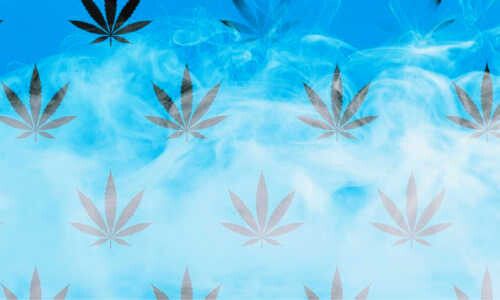Wirecard steckte mit Marijuana-Händlern unter einer Decke