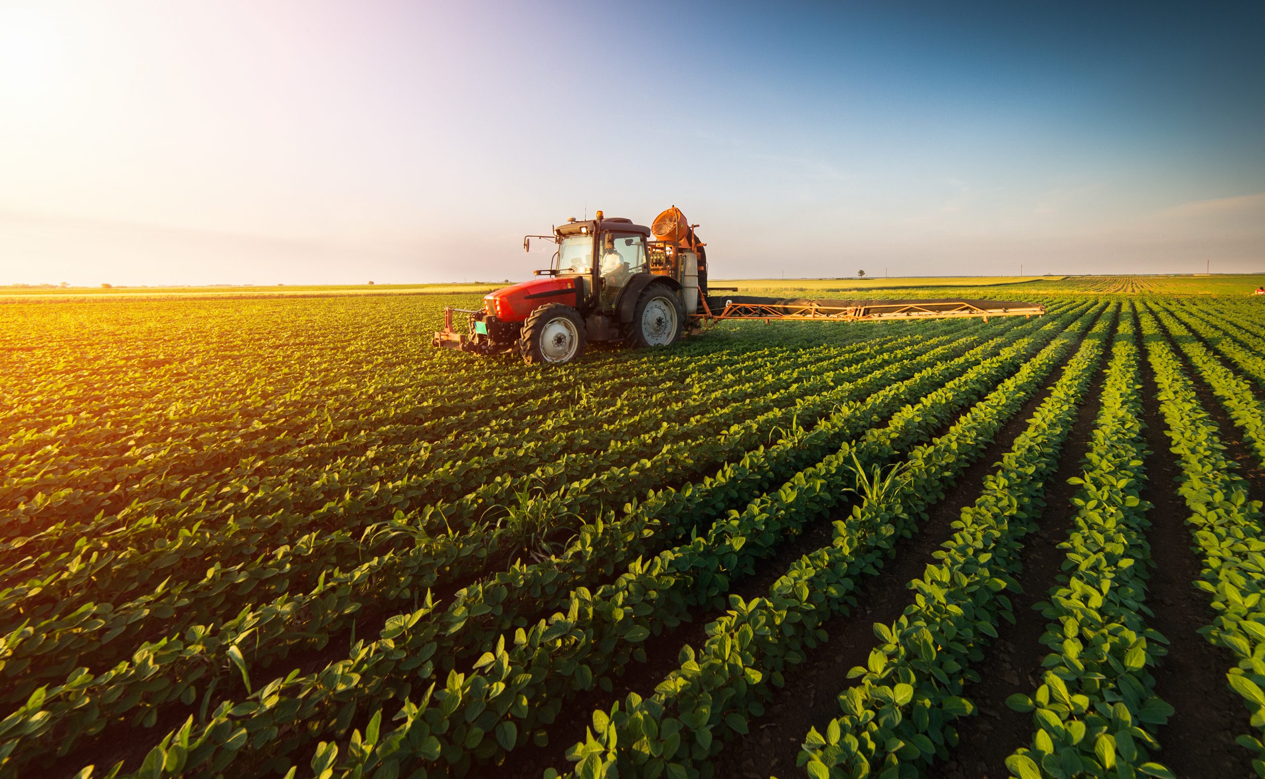 Nahrungsmittelinflation: Aufwind für Agraraktien