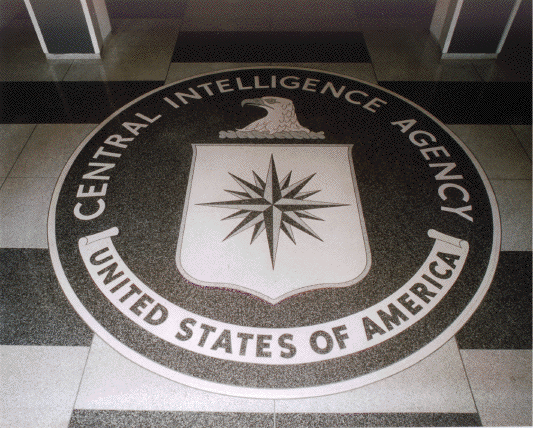 A Woke CIA … or a Free, Peaceful, and Prosperous Society?