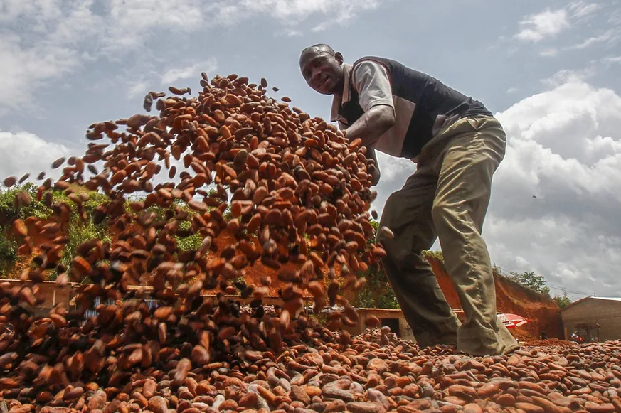 Has a new price premium on cocoa really helped struggling African farmers?