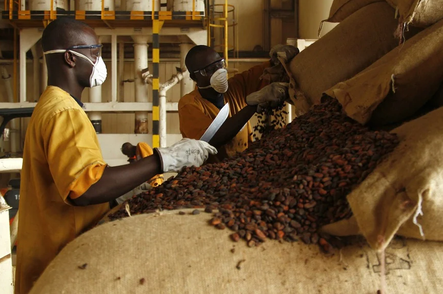 Can China help African cocoa producers outmanoeuvre Big Chocolate?