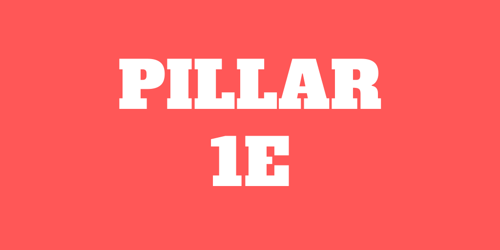 What is the pillar 1e?