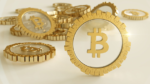 Florida ermöglicht Steuerzahlungen in Bitcoin