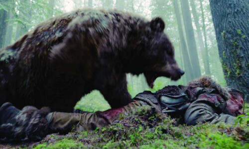 UBS gibt Tipps im Umgang mit Bären