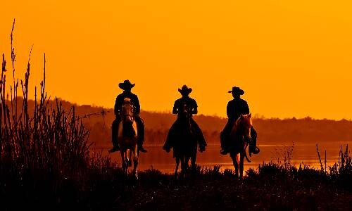 Showdown für die UBS in Texas