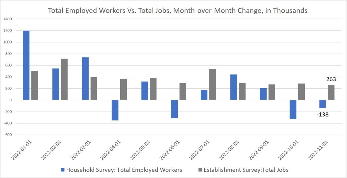 Total Employed Workers Fell Again in November as Savings and Incomes Fall