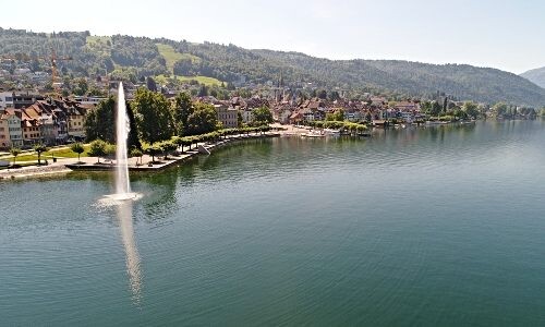 AMAS begrüsst Mitglied aus Zug