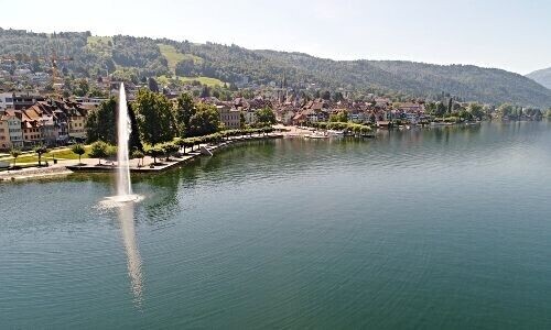 Was treibt die Steuerflucht in der Schweiz?