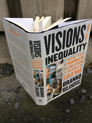 Visions of Inequality