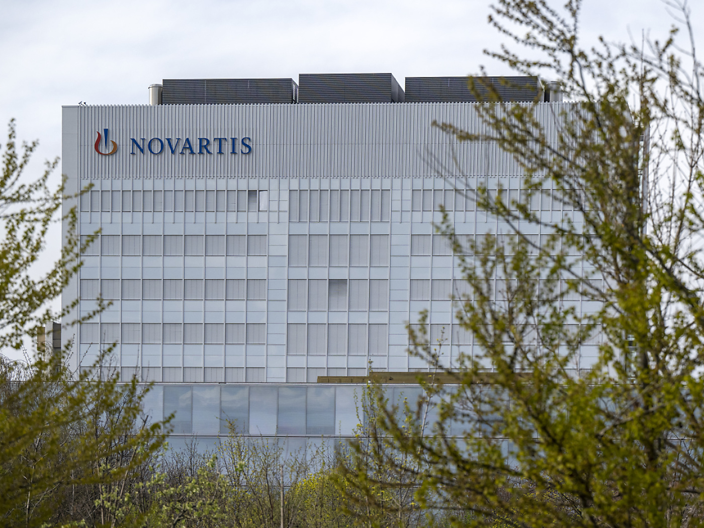 Swiss pharma Novartis cleared of patent abuse allegations